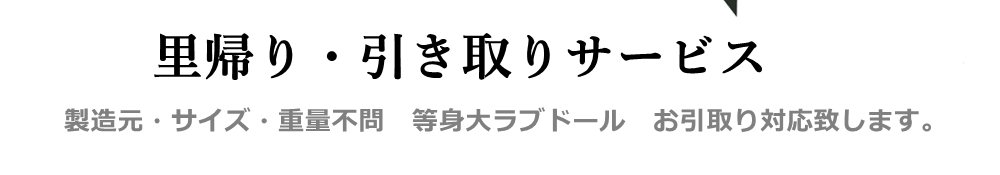「里帰り・引き取りサービス」の案内（公式サイトより）