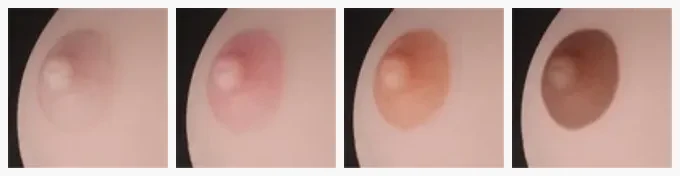 6YE Doll 乳輪カラー 4色