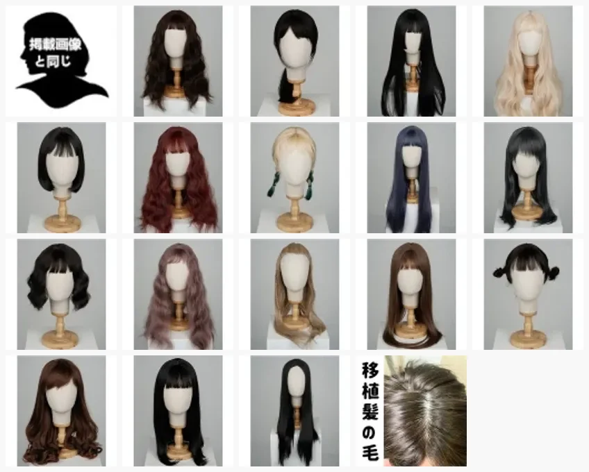 WAXDOLL ウィッグオプション（DACHIWIFE 取扱）